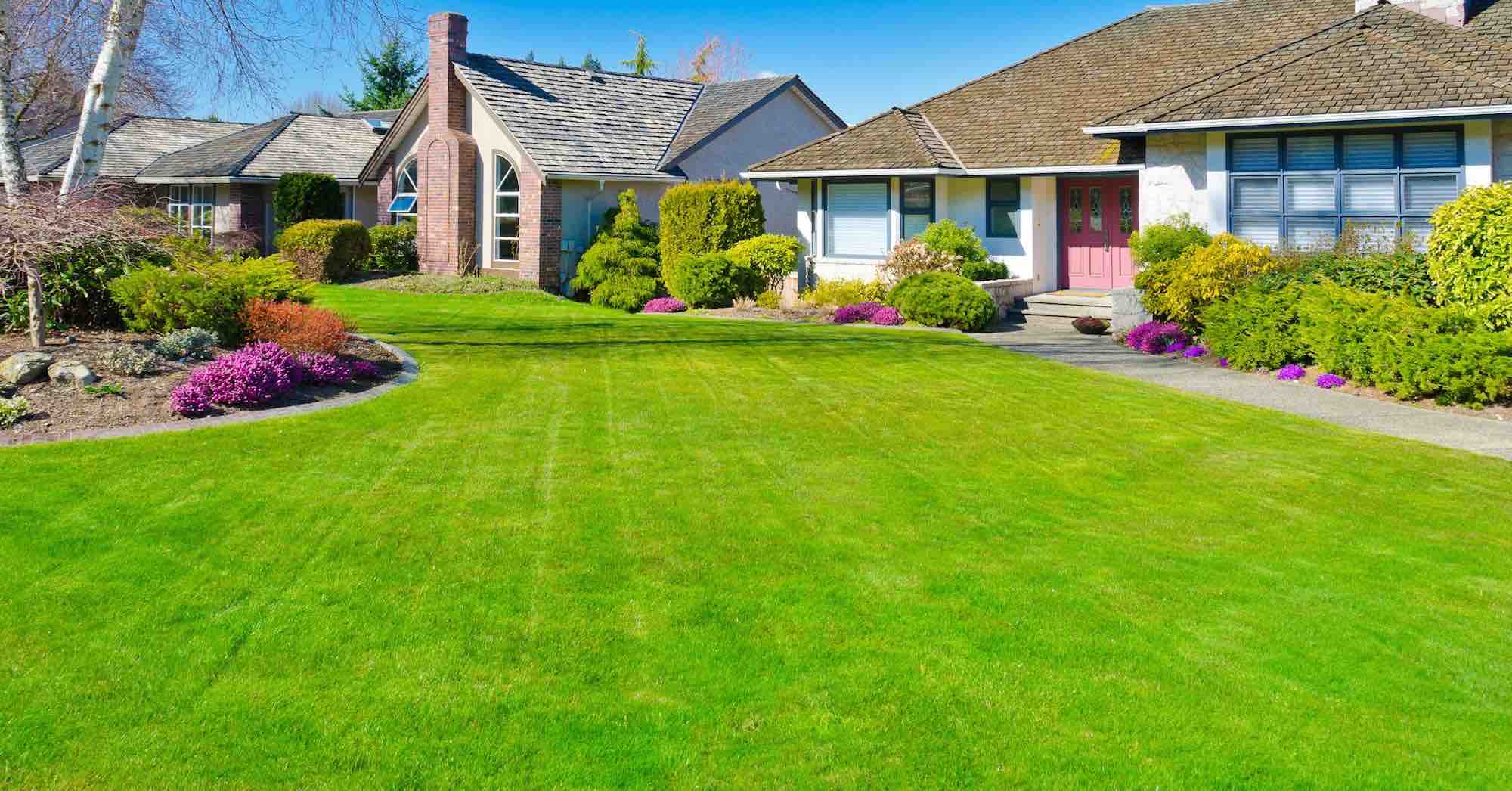 Clean, green yard after service